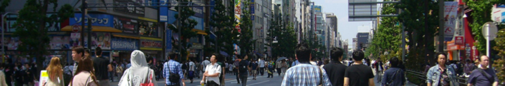 秋の最新情報便♪