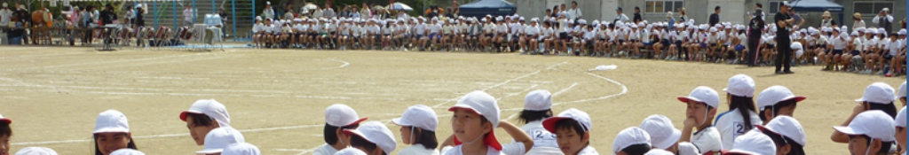 スリッパ、注目の話題！！